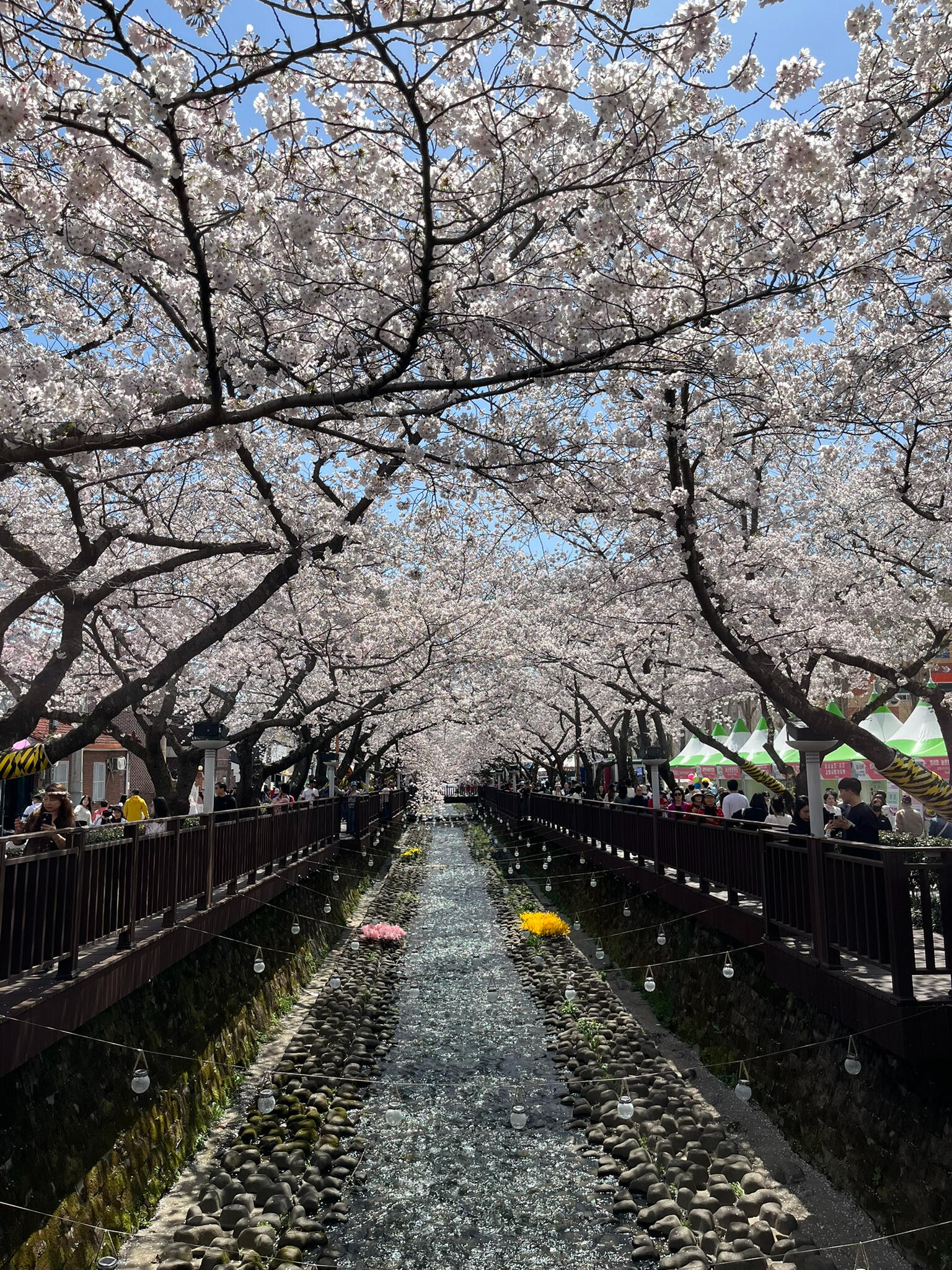 Jinhae, South Korea
